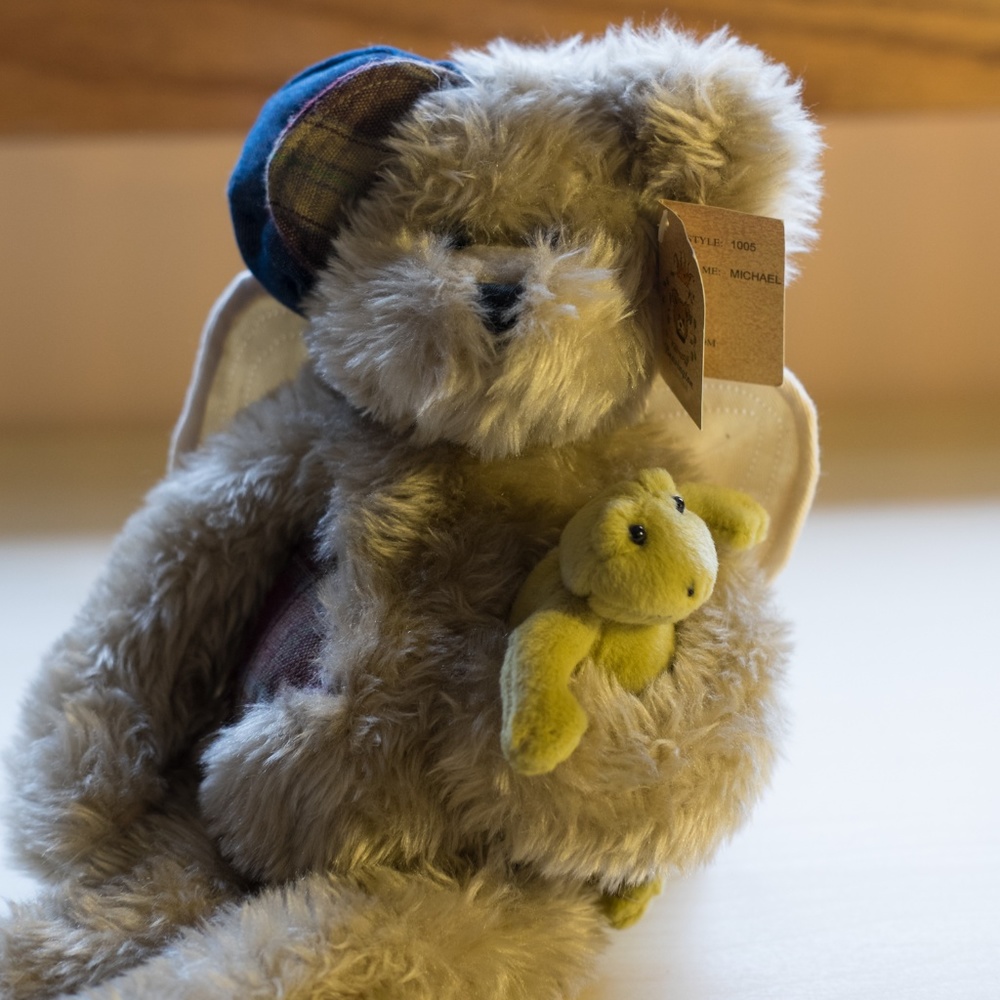 Bearington Bear Collection Michael with Frog 14"